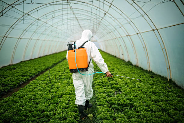 Best Best Pest Control Companies  in Morgantown, PA