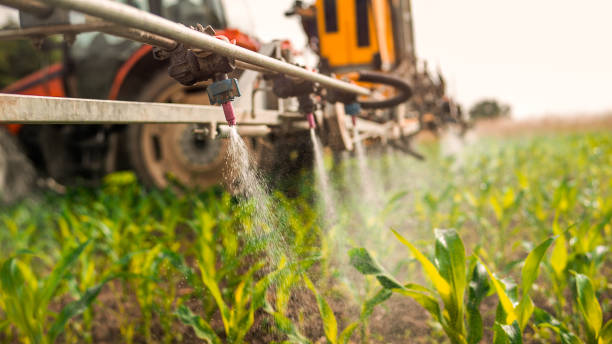 Best Mosquito Control Services  in Morgantown, PA